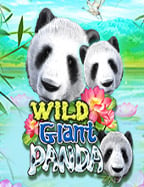 สูตร เกม pg ทดลองเล่น เพิ่มโอกาสชนะใหญ่